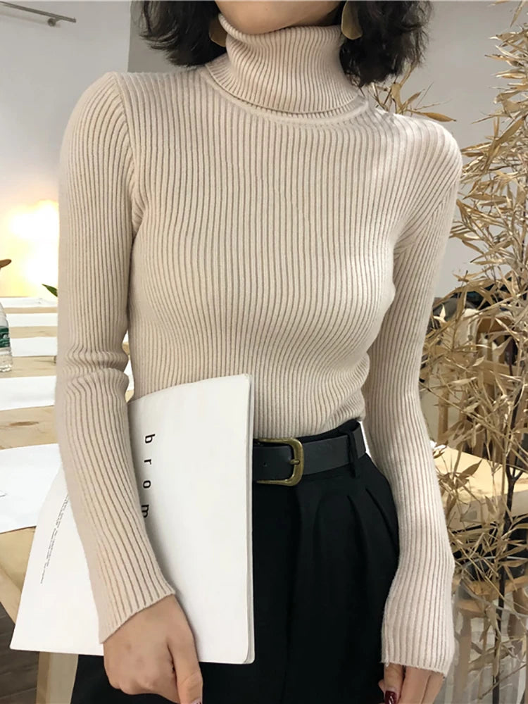 Lumi Turtleneck Sweater