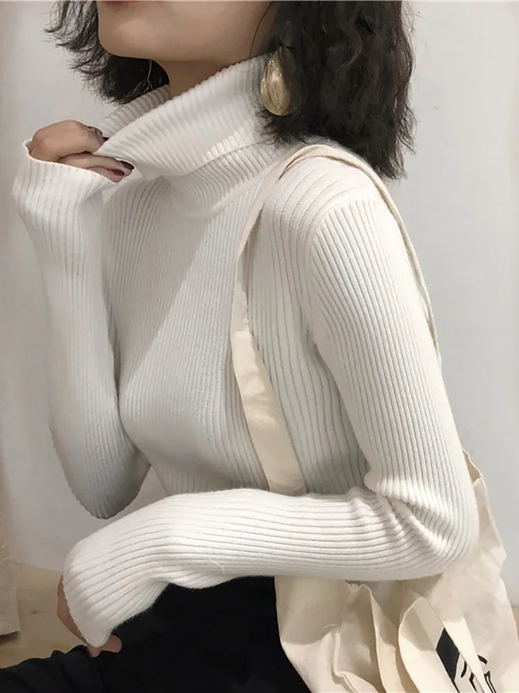 Lumi Turtleneck Sweater
