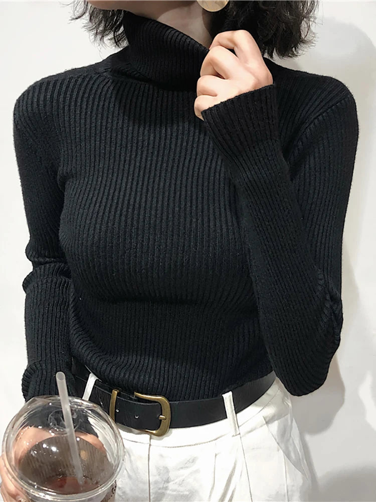 Lumi Turtleneck Sweater